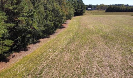 Photo #8 of SOLD property in Off Hamps Road, Nichols, SC 150.0 acres