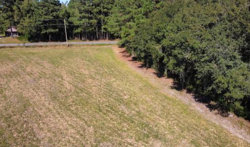 Photo #9 of SOLD property in Off Hamps Road, Nichols, SC 150.0 acres