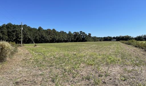 Photo #11 of SOLD property in Off Hamps Road, Nichols, SC 150.0 acres
