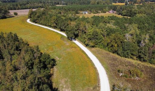 Photo #12 of SOLD property in Off Hamps Road, Nichols, SC 150.0 acres