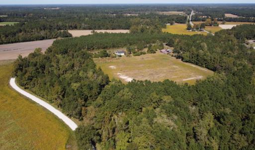 Photo #13 of SOLD property in Off Hamps Road, Nichols, SC 150.0 acres