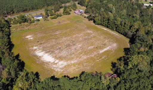 Photo #14 of SOLD property in Off Hamps Road, Nichols, SC 150.0 acres