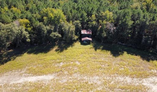 Photo #15 of SOLD property in Off Hamps Road, Nichols, SC 150.0 acres