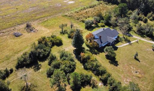 Photo #17 of SOLD property in Off Hamps Road, Nichols, SC 150.0 acres