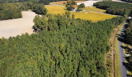Photo #20 of SOLD property in Off Hamps Road, Nichols, SC 150.0 acres