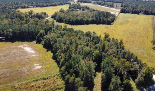 Photo #24 of SOLD property in Off Hamps Road, Nichols, SC 150.0 acres