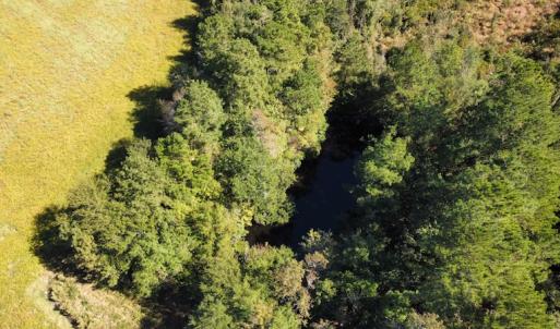 Photo #25 of SOLD property in Off Hamps Road, Nichols, SC 150.0 acres