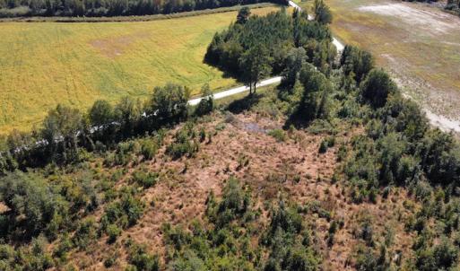 Photo #26 of SOLD property in Off Hamps Road, Nichols, SC 150.0 acres