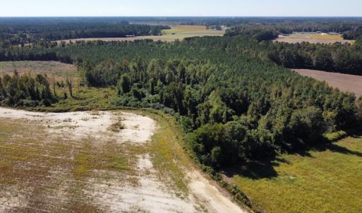 Photo #27 of SOLD property in Off Hamps Road, Nichols, SC 150.0 acres