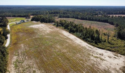 Photo #28 of SOLD property in Off Hamps Road, Nichols, SC 150.0 acres