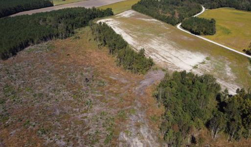 Photo #30 of SOLD property in Off Hamps Road, Nichols, SC 150.0 acres