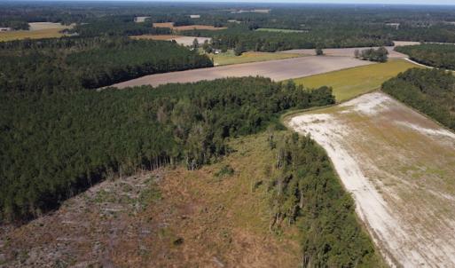 Photo #31 of SOLD property in Off Hamps Road, Nichols, SC 150.0 acres