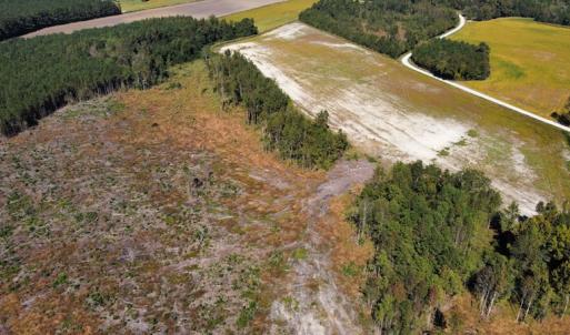 Photo #32 of SOLD property in Off Hamps Road, Nichols, SC 150.0 acres