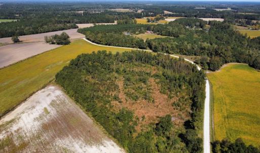 Photo #34 of SOLD property in Off Hamps Road, Nichols, SC 150.0 acres