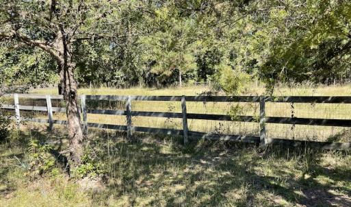 Photo #37 of SOLD property in Off Hamps Road, Nichols, SC 150.0 acres