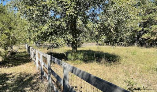 Photo #38 of SOLD property in Off Hamps Road, Nichols, SC 150.0 acres