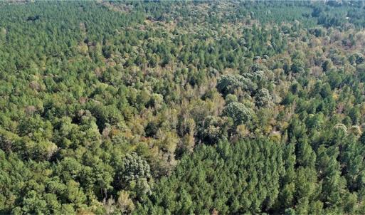 Photo #9 of SOLD property in Off Goldston Carbonton Road , Goldston, NC 11.8 acres