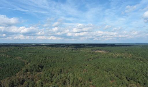 Photo #10 of SOLD property in Off Goldston Carbonton Road , Goldston, NC 11.8 acres