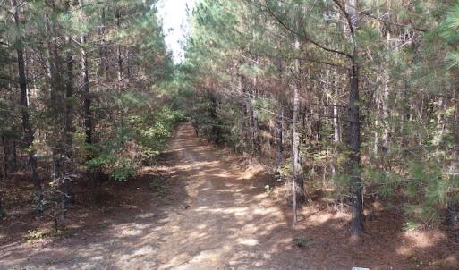 Photo #11 of SOLD property in Off Goldston Carbonton Road , Goldston, NC 11.8 acres