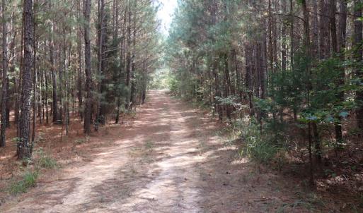 Photo #12 of SOLD property in Off Goldston Carbonton Road , Goldston, NC 11.8 acres