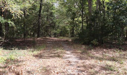 Photo #13 of SOLD property in Off Goldston Carbonton Road , Goldston, NC 11.8 acres