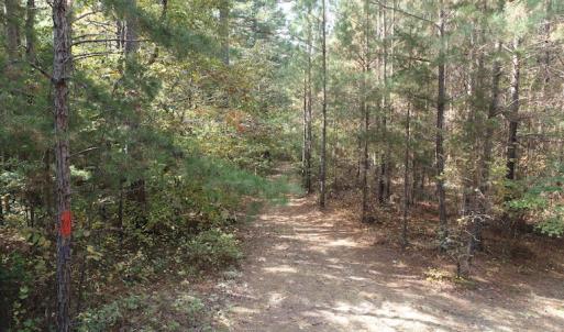 Photo #14 of SOLD property in Off Goldston Carbonton Road , Goldston, NC 11.8 acres