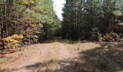 Photo #15 of SOLD property in Off Goldston Carbonton Road , Goldston, NC 11.8 acres