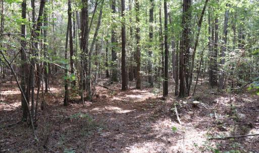 Photo #16 of SOLD property in Off Goldston Carbonton Road , Goldston, NC 11.8 acres
