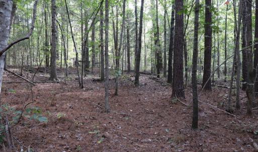 Photo #18 of SOLD property in Off Goldston Carbonton Road , Goldston, NC 11.8 acres