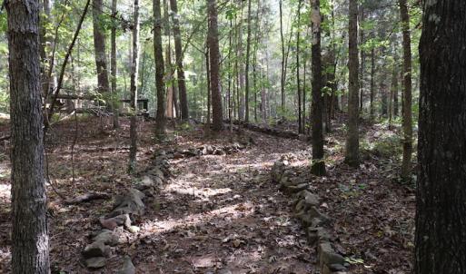 Photo #19 of SOLD property in Off Goldston Carbonton Road , Goldston, NC 11.8 acres