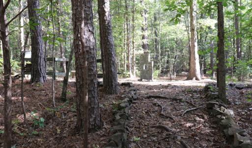 Photo #20 of SOLD property in Off Goldston Carbonton Road , Goldston, NC 11.8 acres