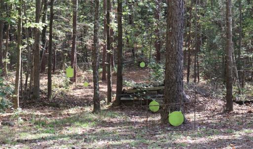 Photo #23 of SOLD property in Off Goldston Carbonton Road , Goldston, NC 11.8 acres