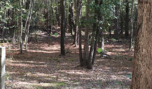 Photo #24 of SOLD property in Off Goldston Carbonton Road , Goldston, NC 11.8 acres