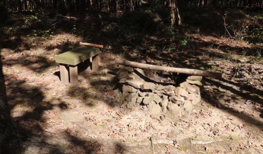 Photo #27 of SOLD property in Off Goldston Carbonton Road , Goldston, NC 11.8 acres