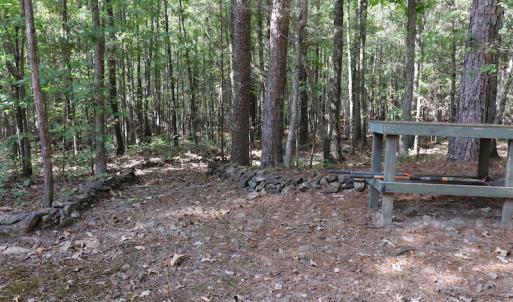 Photo #28 of SOLD property in Off Goldston Carbonton Road , Goldston, NC 11.8 acres