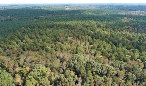 Photo #2 of SOLD property in Off Goldston Carbonton Road , Goldston, NC 11.8 acres