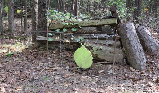 Photo #31 of SOLD property in Off Goldston Carbonton Road , Goldston, NC 11.8 acres