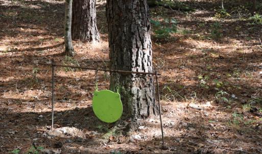Photo #32 of SOLD property in Off Goldston Carbonton Road , Goldston, NC 11.8 acres