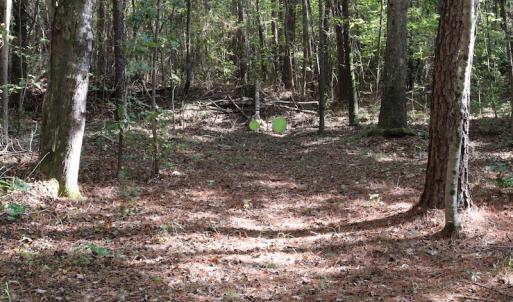 Photo #33 of SOLD property in Off Goldston Carbonton Road , Goldston, NC 11.8 acres