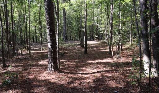 Photo #34 of SOLD property in Off Goldston Carbonton Road , Goldston, NC 11.8 acres