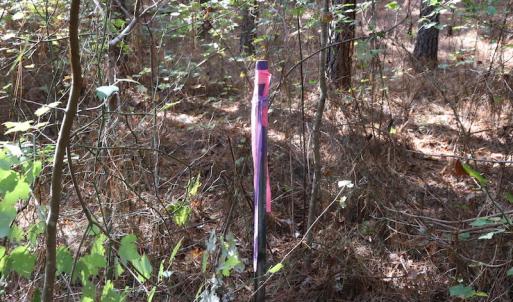 Photo #36 of SOLD property in Off Goldston Carbonton Road , Goldston, NC 11.8 acres