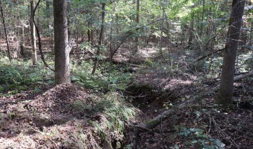 Photo #38 of SOLD property in Off Goldston Carbonton Road , Goldston, NC 11.8 acres