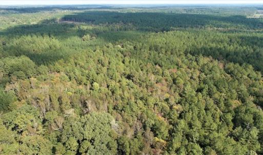 Photo #3 of SOLD property in Off Goldston Carbonton Road , Goldston, NC 11.8 acres
