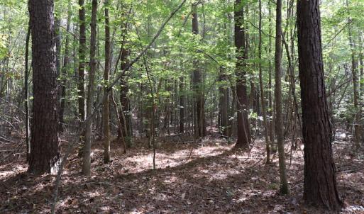 Photo #40 of SOLD property in Off Goldston Carbonton Road , Goldston, NC 11.8 acres
