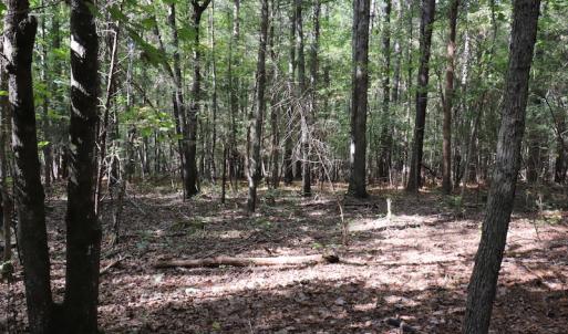 Photo #42 of SOLD property in Off Goldston Carbonton Road , Goldston, NC 11.8 acres