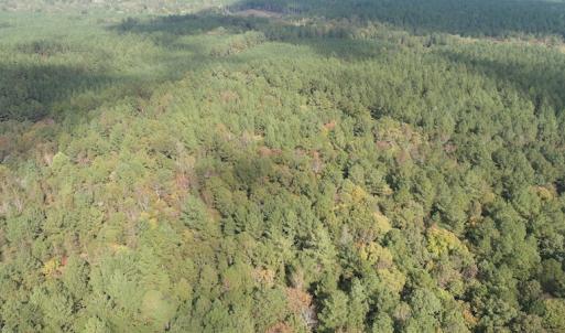 Photo #4 of SOLD property in Off Goldston Carbonton Road , Goldston, NC 11.8 acres