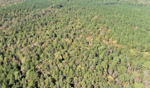 Photo #6 of SOLD property in Off Goldston Carbonton Road , Goldston, NC 11.8 acres