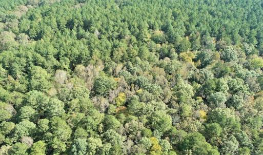 Photo #7 of SOLD property in Off Goldston Carbonton Road , Goldston, NC 11.8 acres