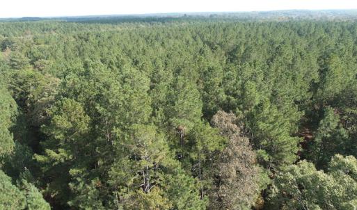 Photo #8 of SOLD property in Off Goldston Carbonton Road , Goldston, NC 11.8 acres