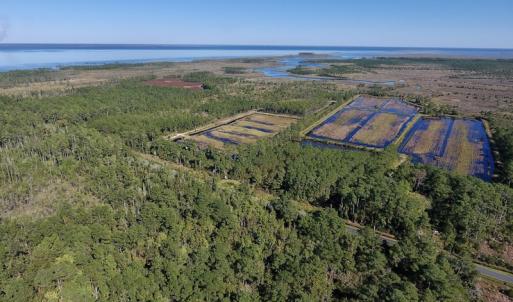 Photo #9 of SOLD property in Off Fulford Point Road , Lowland, NC 21.0 acres
